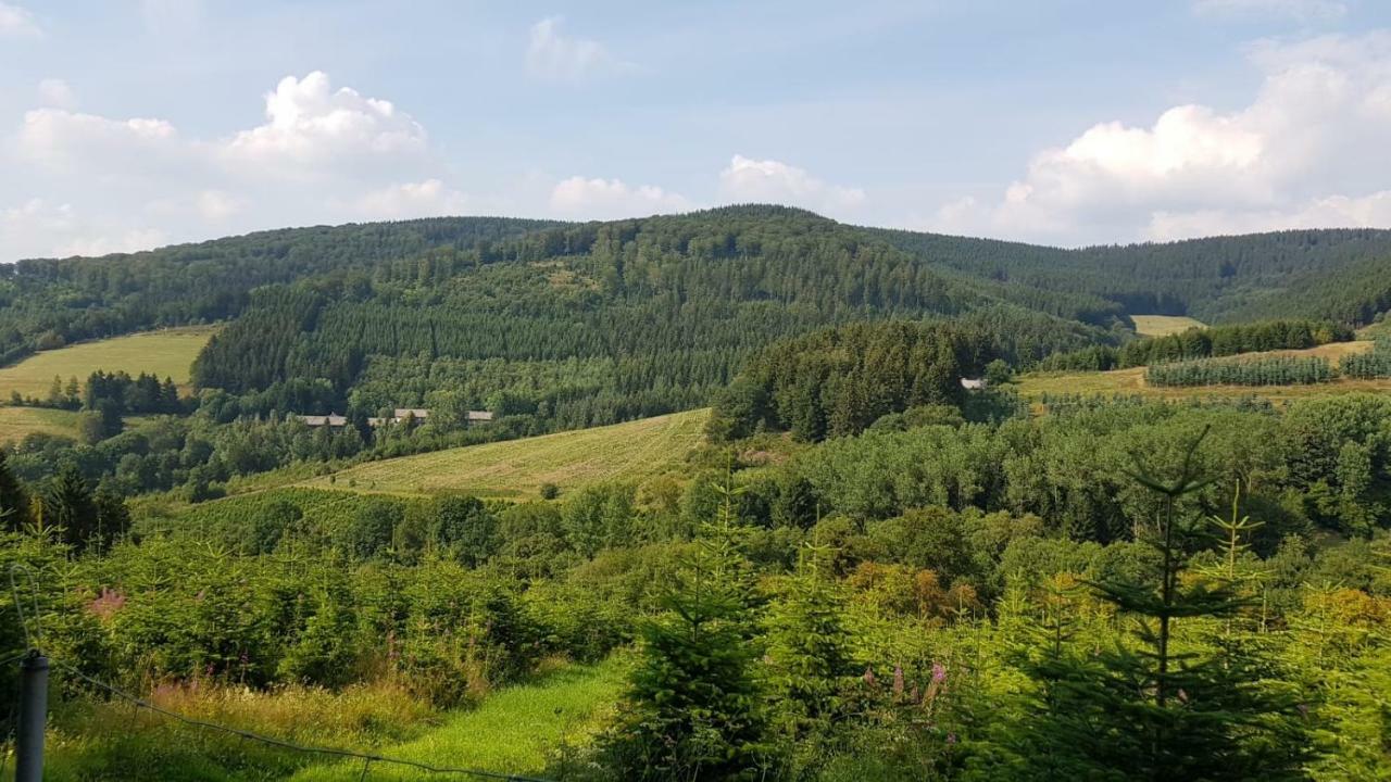 Ferienwohnung " Bianco" Winterberg Eksteriør billede
